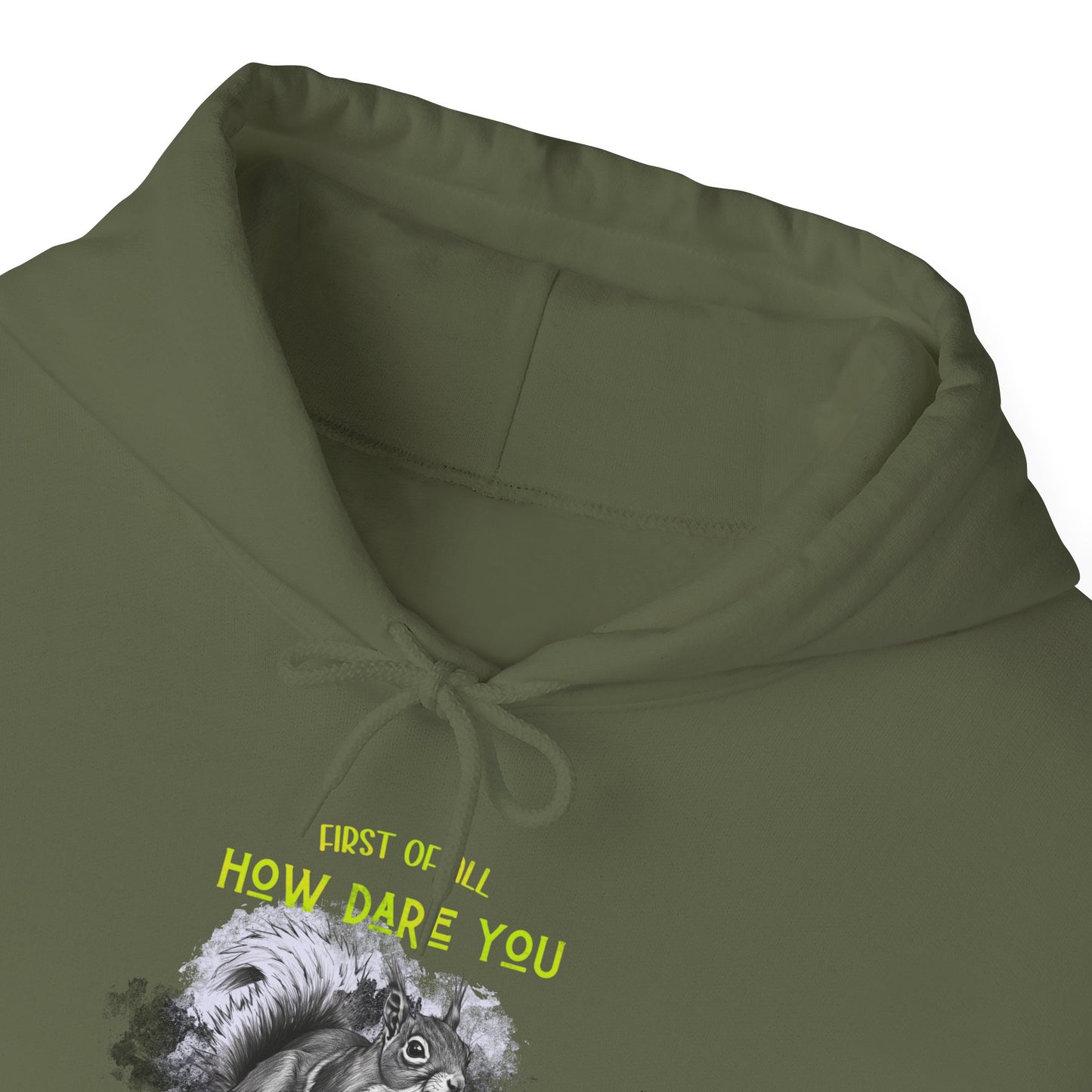 Funny Quote Sassy Squirrel Hoodie Sweatshirt, Sarcastic Animal Graphic Pullover, First of All, How Dare You, Second of All, I'm Delightful