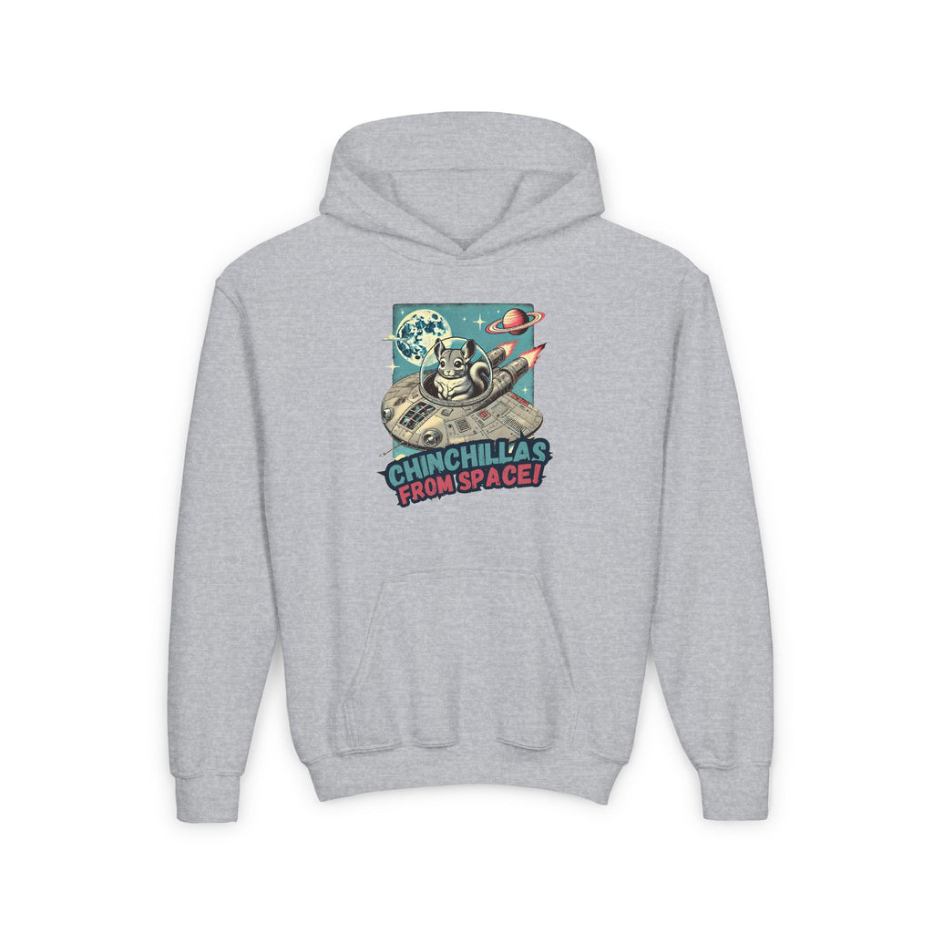 Space Chinchillas Heavy Blend Hoodie Sweatshirt