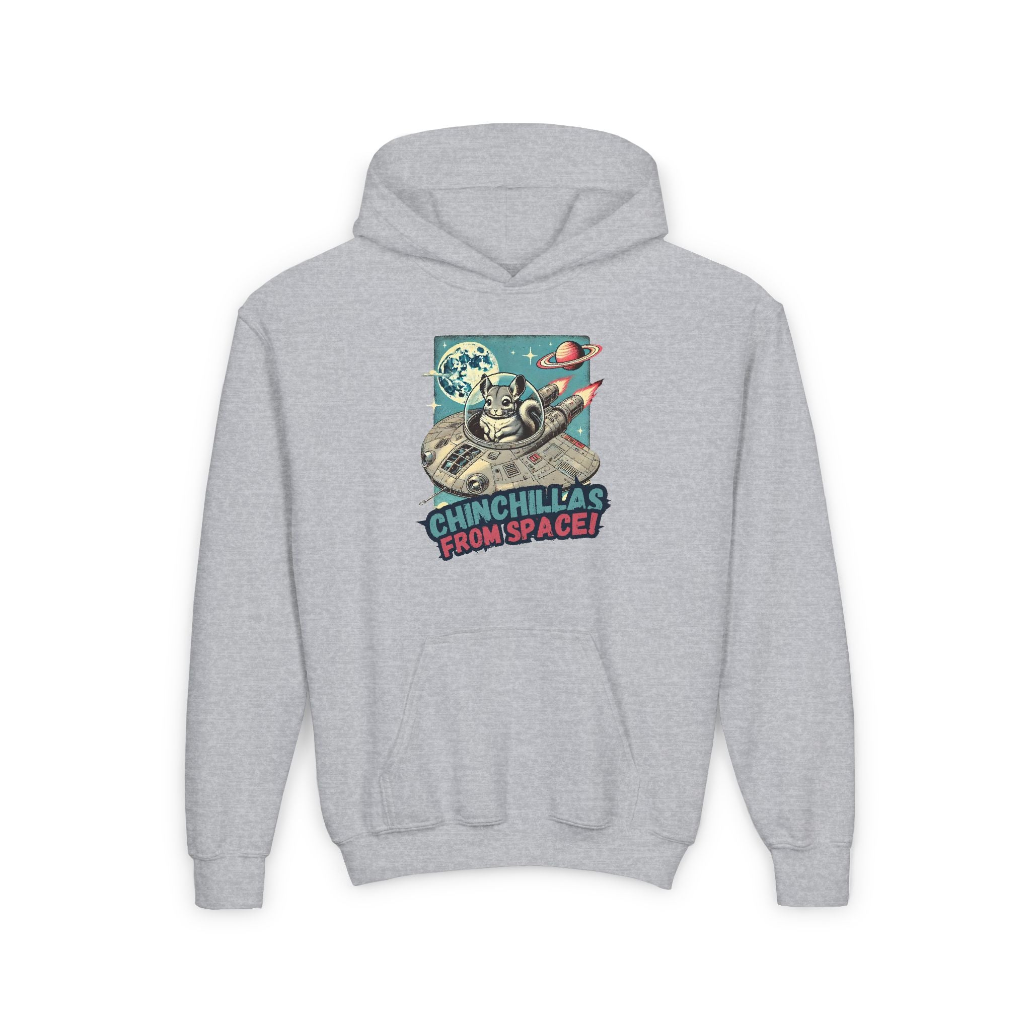 Space Chinchillas Heavy Blend Hoodie Sweatshirt
